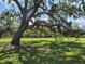 Expansive green park under mature shade trees provides a serene setting for relaxation and recreation at 311 W Ida St, Tampa, FL 33603