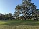 Spacious community park with sprawling green lawn offers a peaceful environment for leisure and activities at 311 W Ida St, Tampa, FL 33603
