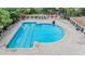 Areal view of a community pool with a unique shape and lounge seating surrounded by trees at 31331 Anniston Dr, Wesley Chapel, FL 33543