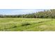Beautiful acreage with lush green grass, mature trees, and fencing, perfect for a ranch or estate at 6411 Barton Rd, Plant City, FL 33565
