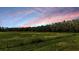Beautiful landscape view with open field, green trees, and colorful sky at 6411 Barton Rd, Plant City, FL 33565