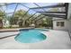 A beautiful blue in-ground screened-in pool is surrounded by mature landscaping and a spacious concrete patio at 6411 Barton Rd, Plant City, FL 33565