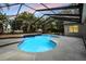 A beautiful screened-in in-ground swimming pool surrounded by lush landscaping and a concrete patio under a lovely pink sky at 6411 Barton Rd, Plant City, FL 33565