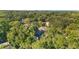 Aerial shot showing the property's location amidst a canopy of trees in a residential area at 8112 N 10Th St, Tampa, FL 33604