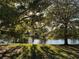 Picturesque backyard view showcasing mature trees, sunlight, and tranquil water, creating a serene landscape at 13898 Egret Ln, Clearwater, FL 33762