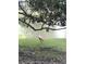 Scenic backyard view featuring a roseate spoonbill wading near the water's edge, adding to the natural beauty at 13898 Egret Ln, Clearwater, FL 33762