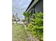 Lush backyard featuring a patio, decorative rocks, flowering plants, and palm trees at 14015 Arbor Pines Dr, Riverview, FL 33579