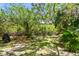 Secluded backyard with a bistro table and lush tropical foliage at 1676 Arabian Ln, Palm Harbor, FL 34685