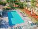 Beautiful community pool with lounge chairs and lush landscaping at 1676 Arabian Ln, Palm Harbor, FL 34685