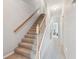 Carpeted staircase with wooden handrail leading to the upper level of the home at 1676 Arabian Ln, Palm Harbor, FL 34685