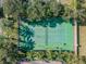 Aerial view of community tennis court surrounded by mature trees at 1676 Arabian Ln, Palm Harbor, FL 34685