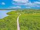 Aerial view of a winding boardwalk through dense foliage, connecting to the waterfront at 1807 Split Fork Dr, Oldsmar, FL 34677