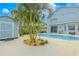 Inviting backyard with a pool, shed, palm trees, and a patio, creating a perfect outdoor retreat at 1807 Split Fork Dr, Oldsmar, FL 34677