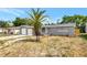 Exterior view of a gray home with a red front door, a palm tree, and a front lawn at 7411 Seashore Dr, Port Richey, FL 34668