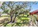 Spacious backyard with mature tree, providing shade and curb appeal at 8220 12Th N Way # G, St Petersburg, FL 33702