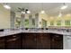 Kitchen sink with dark wood cabinets, granite countertops, and stainless steel appliances at 8444 Shenandoah Run, Wesley Chapel, FL 33544