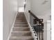 Carpeted staircase leads to the upper level, featuring dark wooden handrail and black metal balusters at 11719 Tetrafin Dr, Riverview, FL 33579