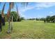 View of the large backyard and mature trees. Backyard has plenty of room for various outdoor activities at 12214 Buckingham Way, Spring Hill, FL 34609