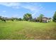 Expansive backyard with lush green lawn, mature trees, screened lanai, and plenty of room for outdoor activities at 12214 Buckingham Way, Spring Hill, FL 34609
