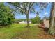 Spacious backyard with mature trees and a lush green lawn, offering tranquility and privacy at 1808 Sawhorse Ct, Lutz, FL 33559