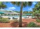 Community pool view features lounge chairs, palm trees, and sunny skies at 18533 Bridle Club Dr # 18533, Tampa, FL 33647
