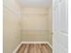 Walk-in closet with wood-look flooring and wire shelving at 18533 Bridle Club Dr # 18533, Tampa, FL 33647