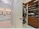 Walk-in closet and en suite bathroom with dual vanities at 1936 Floresta View Dr, Tampa, FL 33618