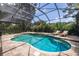 Beautiful backyard pool with screened enclosure, tile decking, and inviting lounge chairs at 1936 Floresta View Dr, Tampa, FL 33618