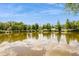 The backyard has a beautiful view of the serene lake at 2035 Nolan Dr, Dunedin, FL 34698