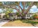 Charming single-story home showcasing a lush front yard with a mature shade tree at 4012 W Pearl Ave, Tampa, FL 33611