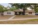 Charming single-story home with a well-maintained lawn and mature tree at 502 Dewolf Rd, Brandon, FL 33511