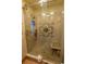 An enclosed tile shower with an inlaid decorative mosaic and built-in bench seating at 502 Dewolf Rd, Brandon, FL 33511