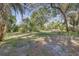 An expansive backyard with mature trees and foliage, providing a private outdoor space at 7002 Doreen St, Tampa, FL 33617