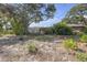 An expansive backyard with mature trees and foliage, providing a private outdoor space at 7002 Doreen St, Tampa, FL 33617
