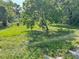 Lush green backyard featuring grass, trees, and foliage at 7806 N Orleans Ave, Tampa, FL 33604