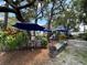 Backyard featuring patio with shade umbrellas and outdoor seating at 8502 N Branch Ave, Tampa, FL 33604