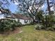 Backyard with large shade trees, beautiful lawn and manicured landscaping at 8502 N Branch Ave, Tampa, FL 33604