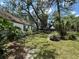 Spacious backyard with mature trees and lush landscaping at 8502 N Branch Ave, Tampa, FL 33604