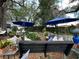 Backyard patio featuring shade umbrellas and comfortable seating at 8502 N Branch Ave, Tampa, FL 33604