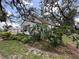 Charming cottage style home with mature trees and lush landscaping at 8502 N Branch Ave, Tampa, FL 33604