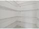 Walk-in pantry with sturdy metal shelving offers an abundance of storage capacity at 9828 Branching Ship Trace, Wesley Chapel, FL 33545