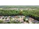 An aerial view of the neighborhood highlighting the lush greenery and surrounding community at 10515 Canary Isle Dr, Tampa, FL 33647