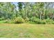Spacious backyard with lush green grass, mature trees, and manicured landscaping at 10515 Canary Isle Dr, Tampa, FL 33647