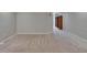 Carpeted basement area featuring adjacent hallway and wooden shelving at 10515 Canary Isle Dr, Tampa, FL 33647