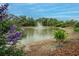 Beautiful pond featuring a central fountain and natural surroundings at 10515 Canary Isle Dr, Tampa, FL 33647