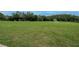 Community soccer field featuring an expansive green area perfect for outdoor activities at 10515 Canary Isle Dr, Tampa, FL 33647