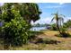 Lush green backyard with picturesque waterfront views at 11465 7Th E St, Treasure Island, FL 33706
