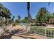 Scenic walkway with lush palm trees leading to a sparkling pool area at 1200 Gulf Blvd # 1704, Clearwater Beach, FL 33767