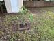 The backyard features a young fruit tree and a shed, offering a peaceful outdoor space at 12426 Terra Ceia Ave, New Port Richey, FL 34654
