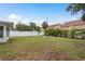 Spacious fenced backyard with lush green grass, a fire pit, and swaying palm trees at 2020 Douglas Ave, Dunedin, FL 34698